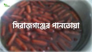 Read more about the article সিরাজগঞ্জের পানতোয়ার ইতিহাস, রেসিপি এবং কেন বিখ্যাত?
