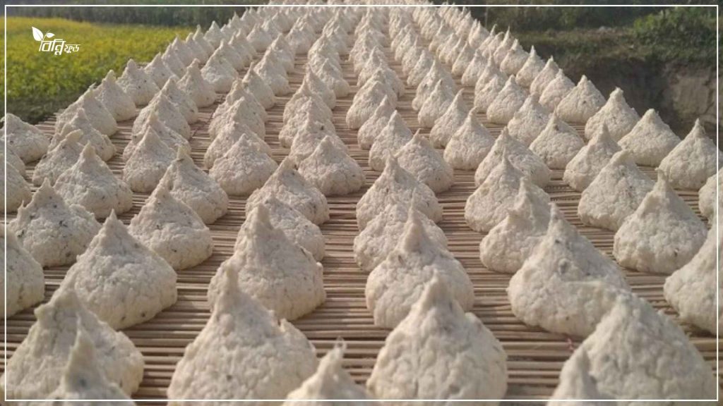 কুমড়ো বড়ি যেভাবে রান্নায় খাওয়া যায়