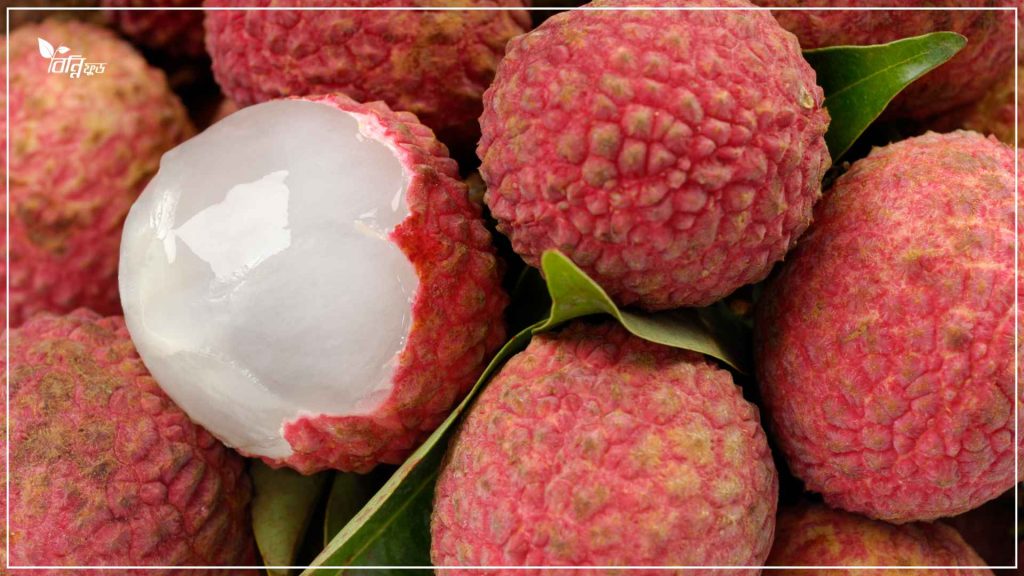 দিনাজপুরের লিচু চেনার উপায়