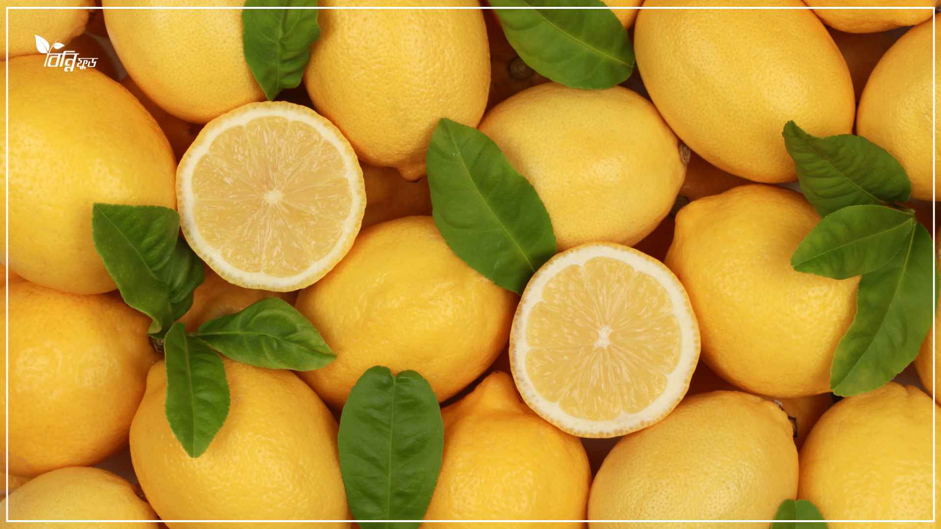 Read more about the article অপূর্ব স্বাদের লেবুর আচার তৈরি পদ্ধতি, উপকারিতা, পুষ্টিগুণ 