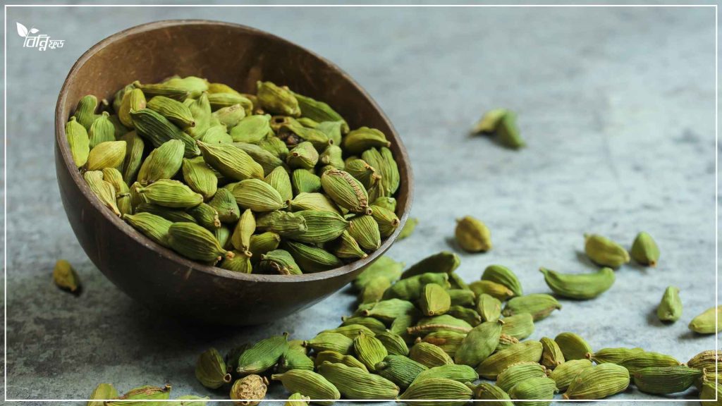 এলাচের বিভিন্ন উপকারিতা
