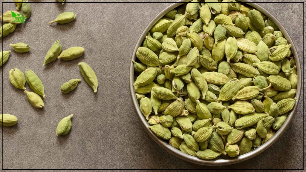অতিরিক্ত এলাচ খাওয়ার পার্শ্বপ্রতিক্রিয়া এবং অপকারিতা