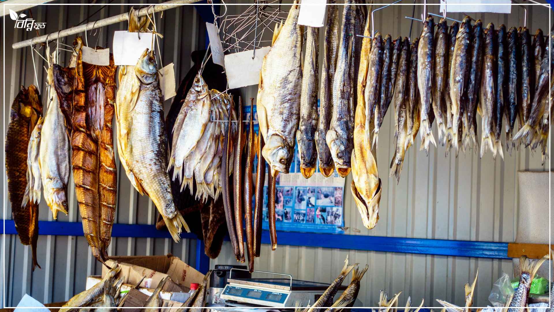 Read more about the article শুটকি মাছের উপকারিতা কি এবং ভালো শুটকি মাছ চেনায় উপায়