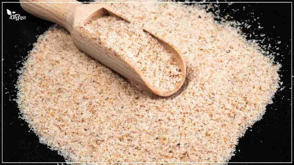Read more about the article ইসবগুলের ভুসি খাওয়ার নিয়ম, উপকারিতা ও সর্তকতা